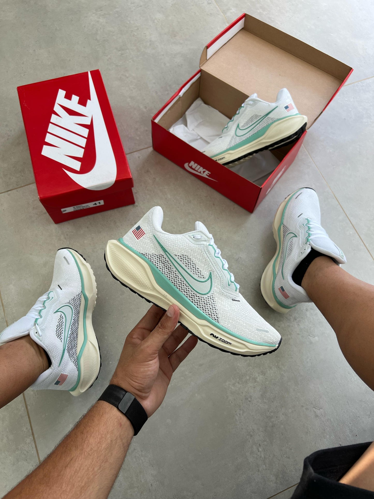 Nike air zoom Pegasus