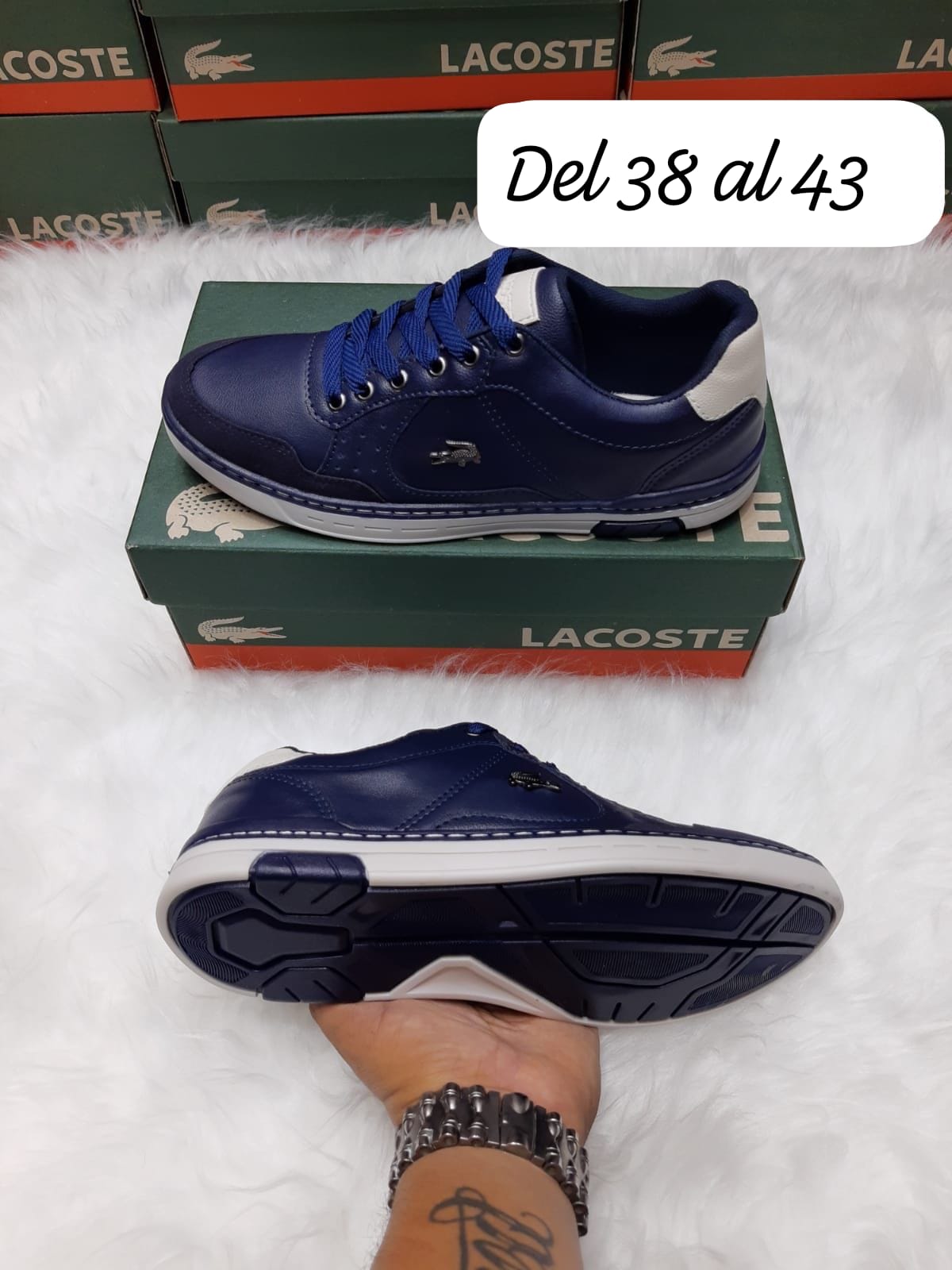 Lacoste Carnaby Evo