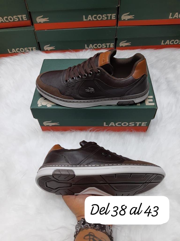 Lacoste Carnaby Evo