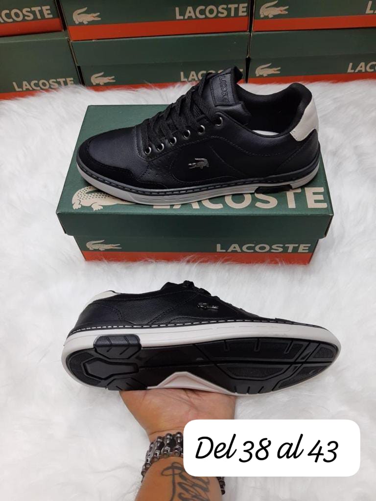 Lacoste Carnaby Evo